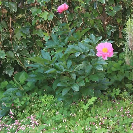 With A Parking Space - 7619 * Medulin